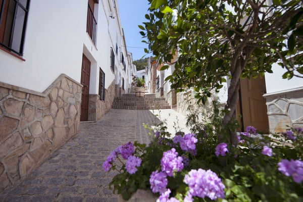 14407798950 B40ac33b50 Z