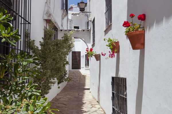 14407890678 7b951c3bd0 Z