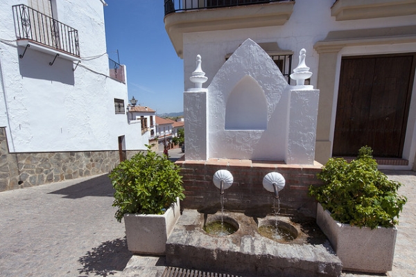 14592486764 Cfbf352239 Z