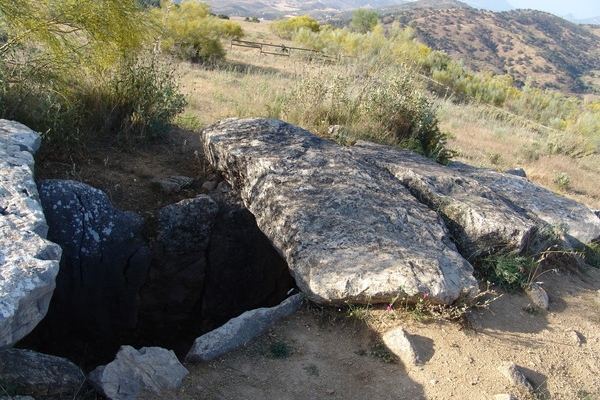 DSC00945 Iloveimg Resized