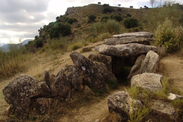 DSC01827 Iloveimg Resized