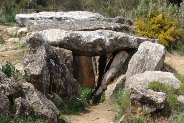 FOTO 01 Iloveimg Resized