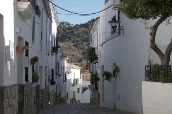 FOTO 012 Iloveimg Resized