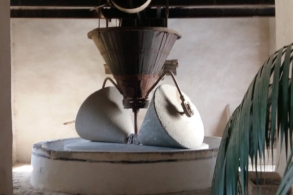 FOTO 014 Iloveimg Resized