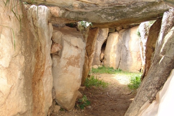 FOTO 02 Iloveimg Resized