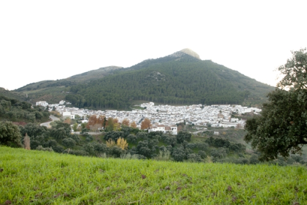 FOTO 027 Iloveimg Resized