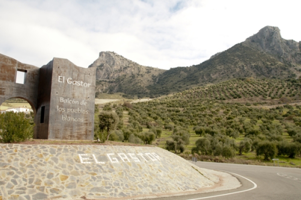 FOTO 028 Iloveimg Resized