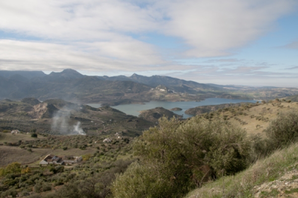 FOTO 029 Iloveimg Resized